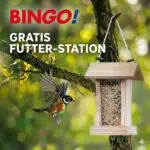 Kostenlose Futter-Station bei BINGO! anfordern