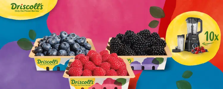 Edeka verlost Ninja Mixer