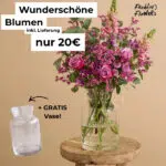 Blumen bei Freddie's Flowers