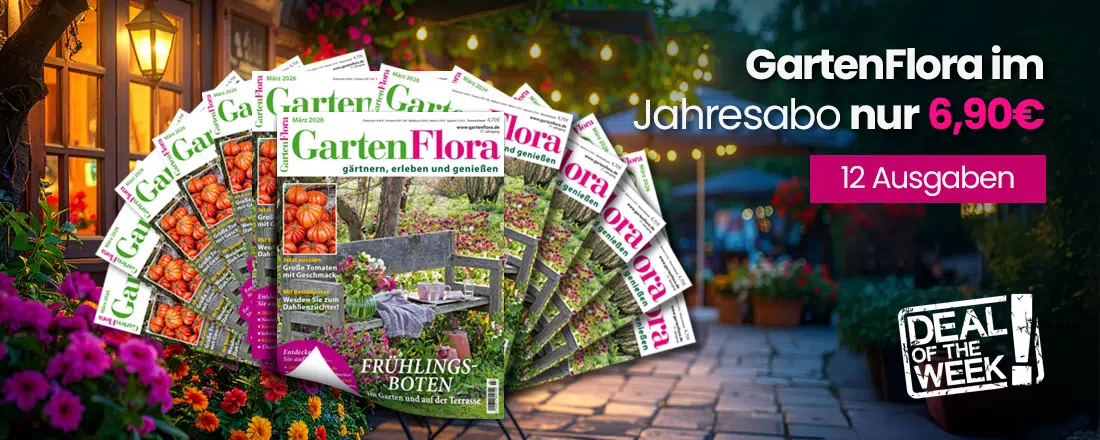 Gartenflora-Jahresabo für 6,90€
