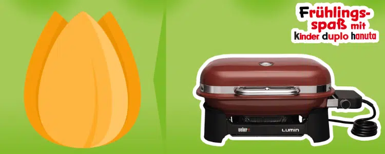 Weber-Grill; gelbe Tulpe