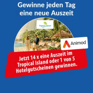 animod-Gutschein_gewinnen