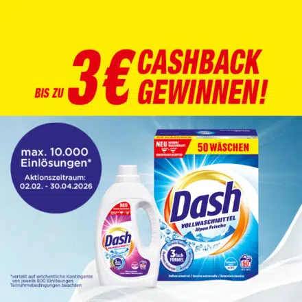 Dash_3_zurueckerhalten