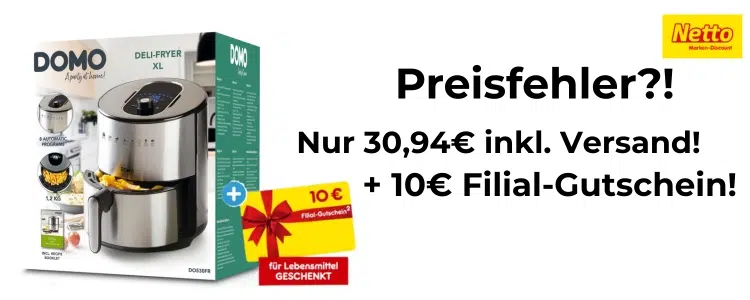 Netto Preisfehler Fritteuse
