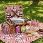 Aoste Picknick-Set gewinnen