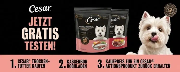 Cesar Hundefutter gratis testen