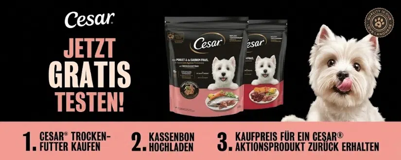 Cesar Hundefutter gratis testen