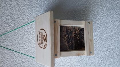 Kommentarbild von Moretti