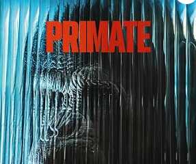 DVDPrimate
